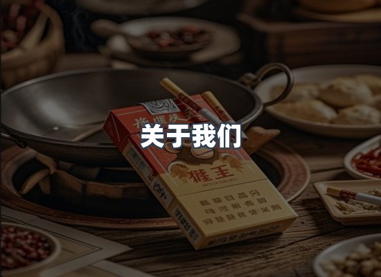 关于我们